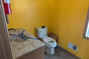 119 Park Ave, Allegan, MI 49010 - Photo 10