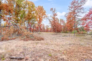 V/L 16 Mile Rd, Big Rapids, MI 49307 - Photo 1