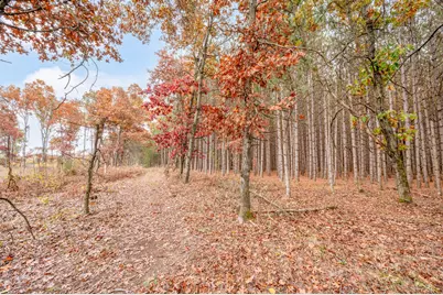 V/L 16 Mile Rd, Big Rapids, MI 49307 - Photo 18