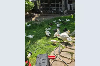 2348 Segwun Avenue SE, Lowell, MI 49331 - Photo 36