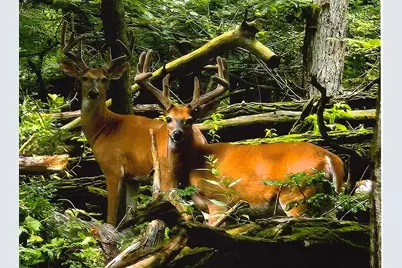 1110 Denway Drive, Kalamazoo, MI 49008 - Photo 22