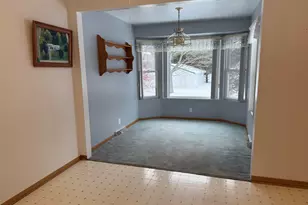 265 Dildine Rd, Ionia, MI 48846 - Photo 10