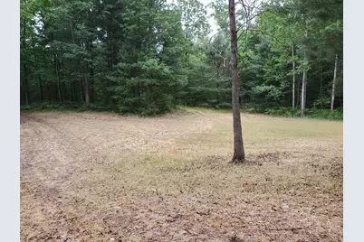 5242 S Forest Drive, Baldwin, MI 49304 - Photo 8