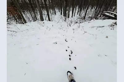 490 Kelley Road, Reading, MI 49274 - Photo 32