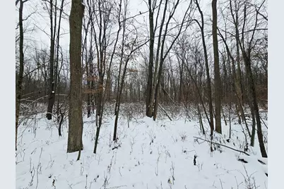 490 Kelley Road, Reading, MI 49274 - Photo 32