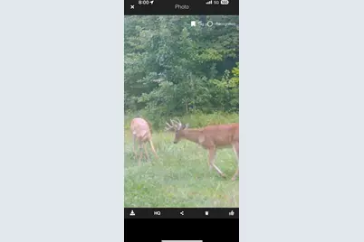 490 Kelley Road, Reading, MI 49274 - Photo 12