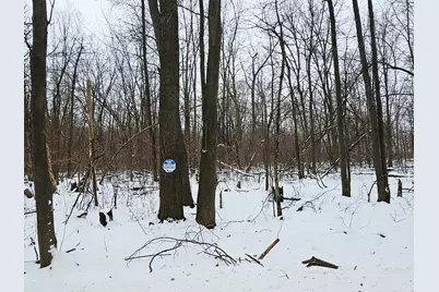 490 Kelley Road, Reading, MI 49274 - Photo 24