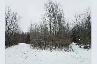 490 Kelley Road, Reading, MI 49274 - Photo 18