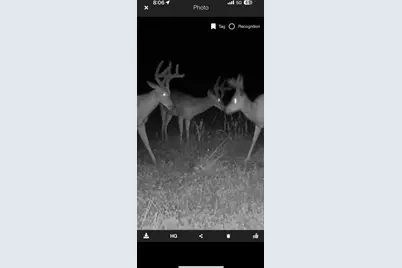 490 Kelley Road, Reading, MI 49274 - Photo 2