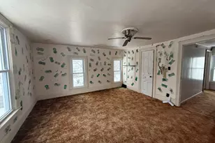 314 Cleveland St, Nashville, MI 49073 - Photo 28