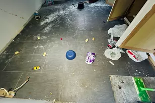 8907 Cloverlawn St, Detroit, MI 48204 - Photo 36