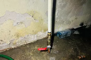 8907 Cloverlawn St, Detroit, MI 48204 - Photo 60