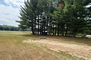 22347 5 Mile Rd, Morley, MI 49336 - Photo 56