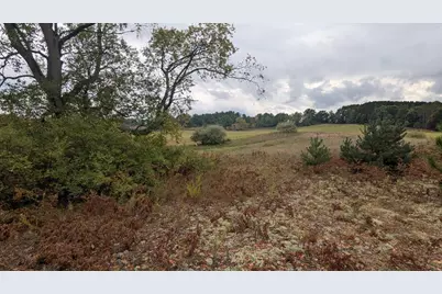 00 E 14 Mile Road #PARCEL D, Paris, MI 49338 - Photo 12