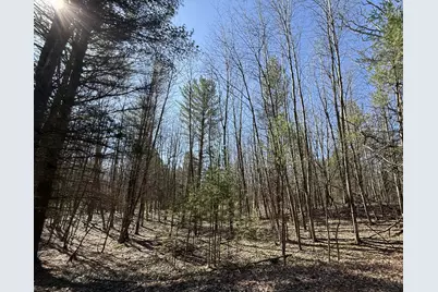 3.75 Acres Wayne Road, Pentwater, MI 49449 - Photo 6