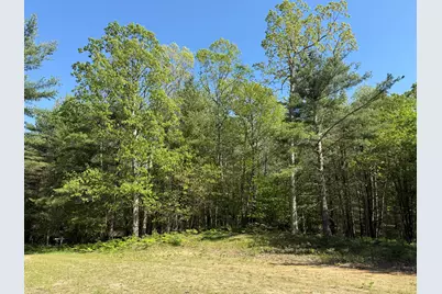 3.75 Acres Wayne Road, Pentwater, MI 49449 - Photo 1