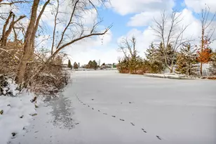 14408 Kildare Ln, Cement City, MI 49233 - Photo 36