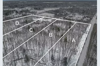 14th Avenue #Parcel A, South Haven, MI 49090 - Photo 6