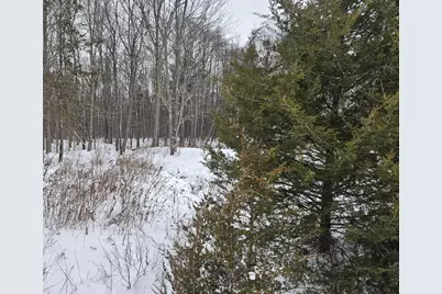 14th Avenue #Parcel A, South Haven, MI 49090 - Photo 14