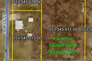 E Main St, Stanton, MI 48888 - Photo 1
