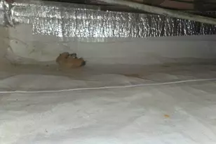 3158 Lafayette Dr, Trenton, MI 48183 - Photo 56