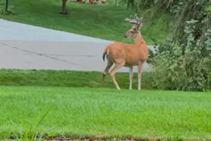 3343 Springbrook Dr NW, Grand Rapids, MI 49544 - Photo 40