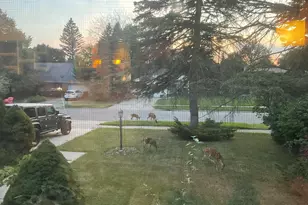 1706 Autumn Ln, Lansing, MI 48912 - Photo 36