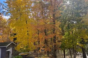 1154 Springwood Dr SE, Grand Rapids, MI 49508 - Photo 44