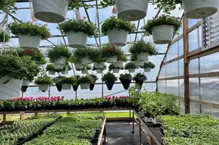 5417 Archer Rd, Brethren, MI 49619 - Photo 22