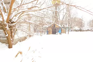 111 E St Marys St, Decatur, MI 49045 - Photo 14