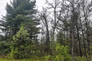 00 E 10 Mile Rd, Irons, MI 49644 - Photo 1