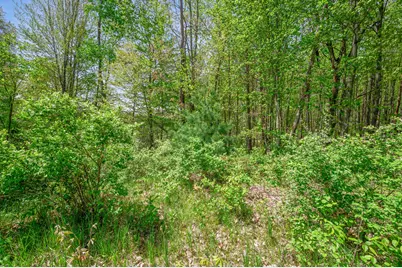 8209 West Royal Rd, Canadian Lakes, MI 49346 - Photo 8
