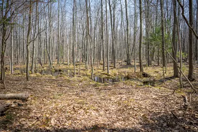 4986 N Ridge Road, Mears, MI 49436 - Photo 30