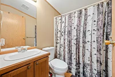 10370 Schwyz Drive, Reed City, MI 49677 - Photo 22