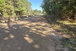 4579 Brunswick Rd, Holton, MI 49425 - Photo 14