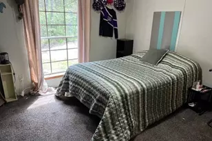5237 S Chestnut Ave, Newaygo, MI 49337 - Photo 12