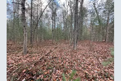 V/L Forest Service 8433/Pomeroy Sp, Irons, MI 49644 - Photo 4