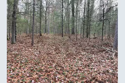 V/L Forest Service 8433/Pomeroy Sp, Irons, MI 49644 - Photo 16