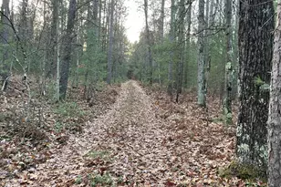 V/L Forest Service 8433/Pomeroy Sp, Irons, MI 49644 - Photo 1