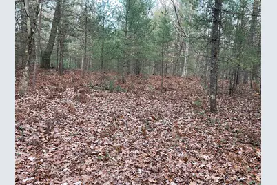 V/L Forest Service 8433/Pomeroy Sp, Irons, MI 49644 - Photo 14