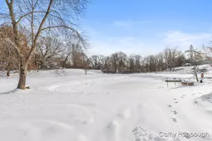 220 N Maple Ave, Maple Rapids, MI 48853 - Photo 26
