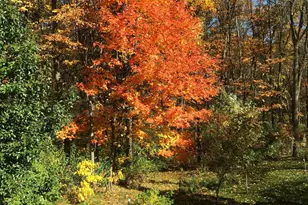 1164 Hawkins Ct, Kalamazoo, MI 49009 - Photo 44