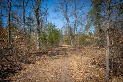 V/L Rybicki Road, Free Soil, MI 49411 - Photo 30