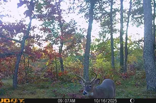 V/L Rybicki Rd, Free Soil, MI 49411 - Photo 48