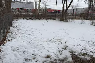 9605 Decatur St, Detroit, MI 48227 - Photo 22