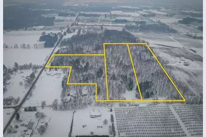 Parcel C W Grant Road, New Era, MI 49446 - Photo 4