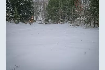 Parcel C W Grant Road, New Era, MI 49446 - Photo 6