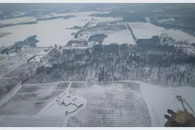 Parcel C W Grant Road, New Era, MI 49446 - Photo 14