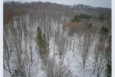 Parcel D W Grant Road, New Era, MI 49446 - Photo 18