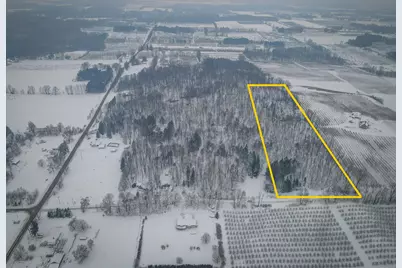 Parcel D W Grant Road, New Era, MI 49446 - Photo 2